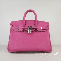 Hermes Birkin 25cm E...