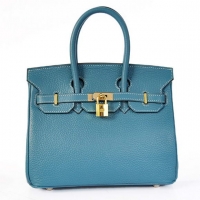 Hermes Birkin 25CM T...