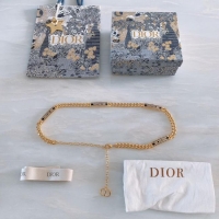 Luxurious Dior Waist...