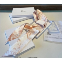 Shop Best Dior Toile...